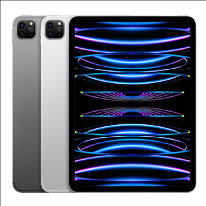 Picture of Apple 11 iPad Pro Cellular 2TB - Silver (MNYM3B)