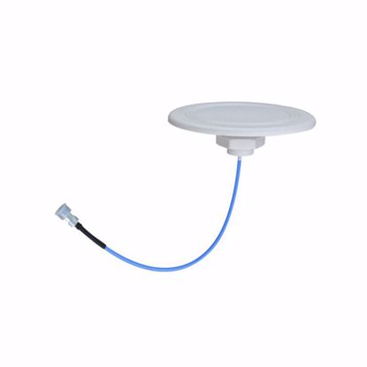Picture of Nextivity Cel-Fi LP SISO Indoor Omni Antenna for Cel-Fi GO X and Cel-Fi Solo + N-Type Male to SMA Male